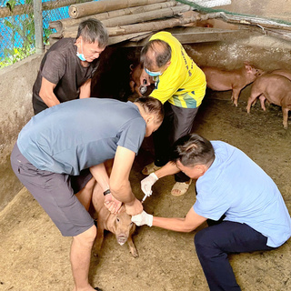 <a href="/tin-tuc-su-kien/thong-tin-tai-nguyen-moi-truong" title="Thông tin tài nguyên, môi trường" rel="dofollow">TÀI NGUYÊN, MÔI TRƯỜNG</a>